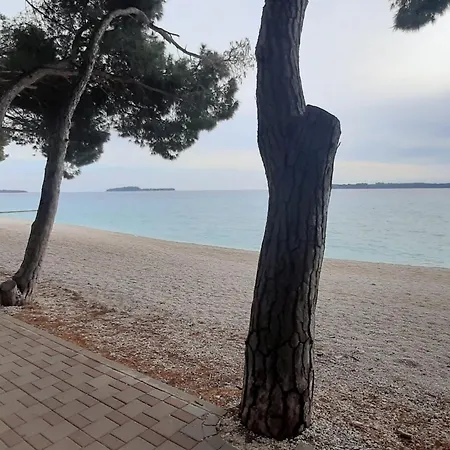 아파트 Modern And Bright With Balcony And Sea View *
